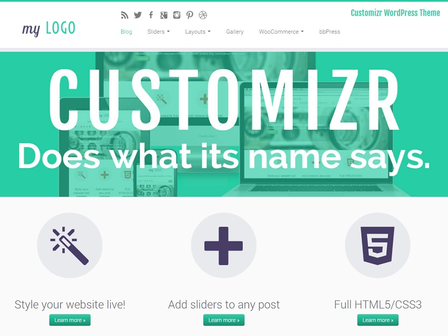 Customizr wordpress template