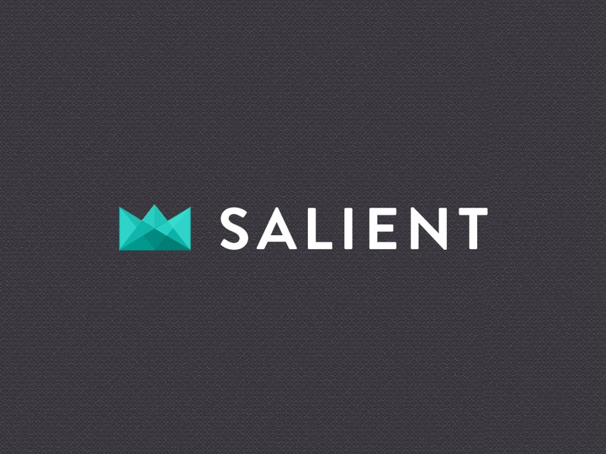 Salient wp theme